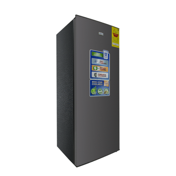 NASCO 166LTR NASD1-200SK STANDING-FREEZER